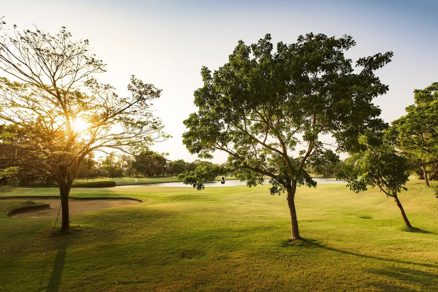 dynasty-golf-country-club