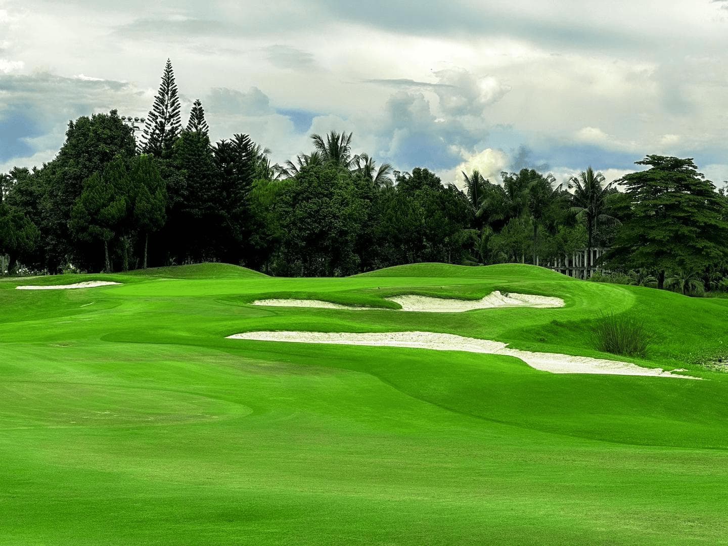 Enjoy golf experiences at [ONE DAY GOLF] : Airport or Hotel ⇄ Summit green valley (Chiangmai)