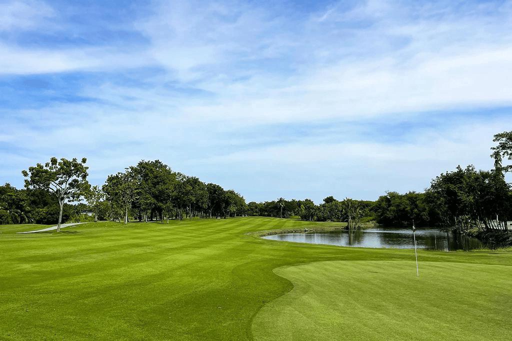 THE POMELO GOLF CLUB